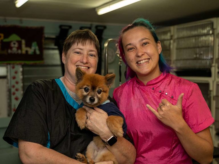 Pet Grooming in Hilo Hawaii Su Lin Kennels Full service dog and cat grooming let us take